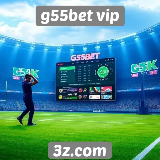 Acessibilidade e interface do g55bet vip para novos usuários