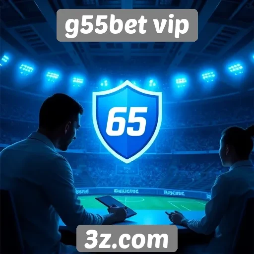 Segurança e privacidade no site g55bet vip